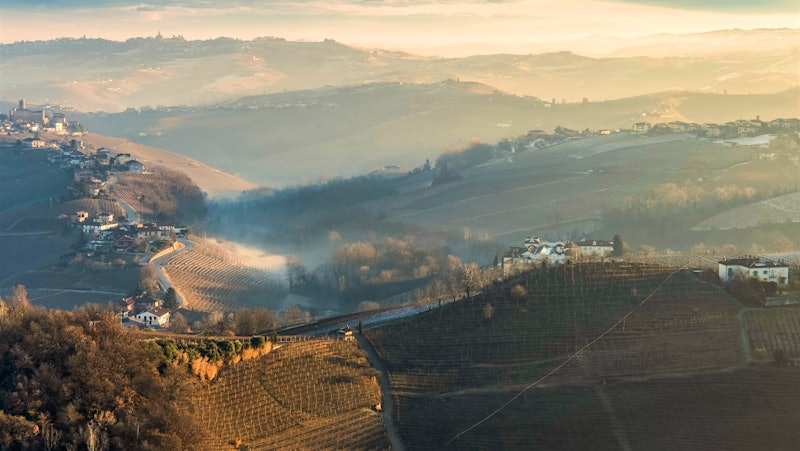 Brilliant Barolos