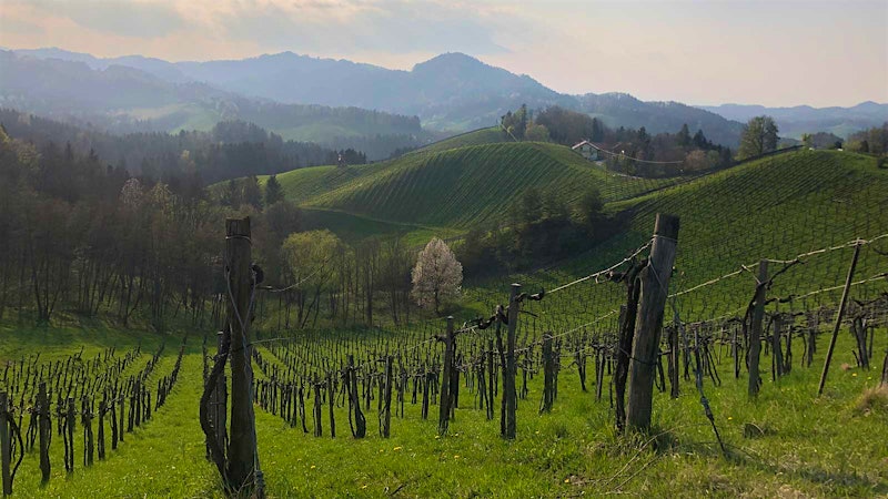 Exploring Styria: Austria's Hidden Gem