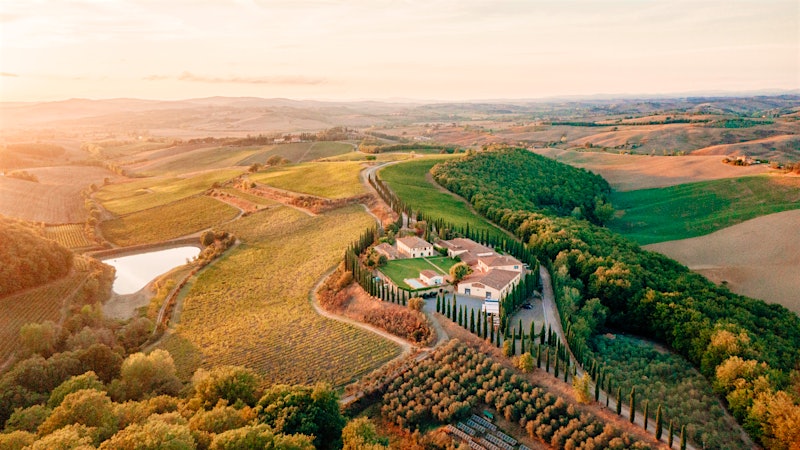 Experience the Magic of 2021 Brunello with 140+ Top-Scoring Wines