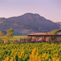 Brewer-Clifton winery building and Machado vineyard (Jeremy Ball)Spotlight on 2024 California Pinot Noir
