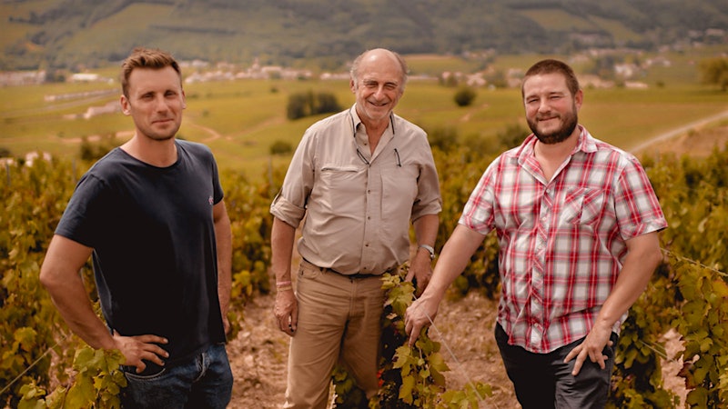 Burgundy in Beaujolais: Philippe Pascal Bets on Juliénas