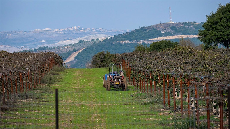 As War in the Middle East Expands, Winemakers Persevere