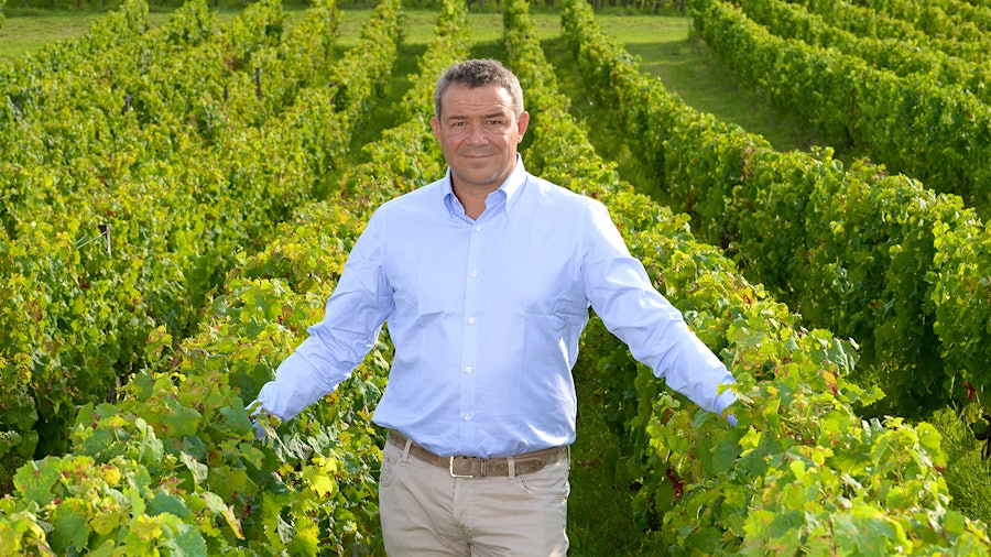 The deal buys out Marco Caprai's siblings, but leaves him in charge of the Umbria winery, with a new deep-pocketed partner.