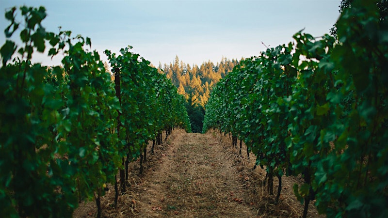 Alphabetical Guide to Oregon