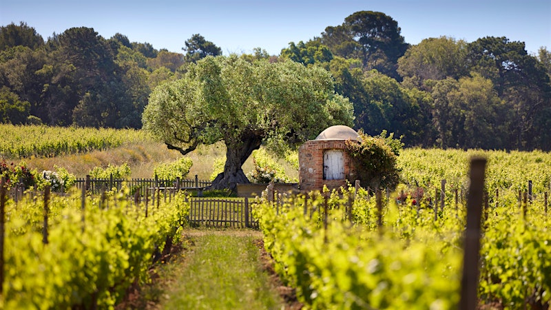 Alphabetical Guide to Provence