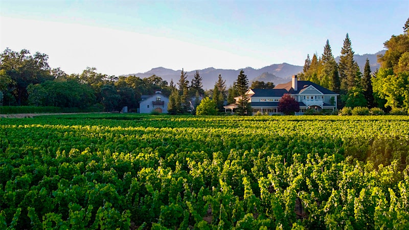 Fresh and Focused California Chardonnay Values
