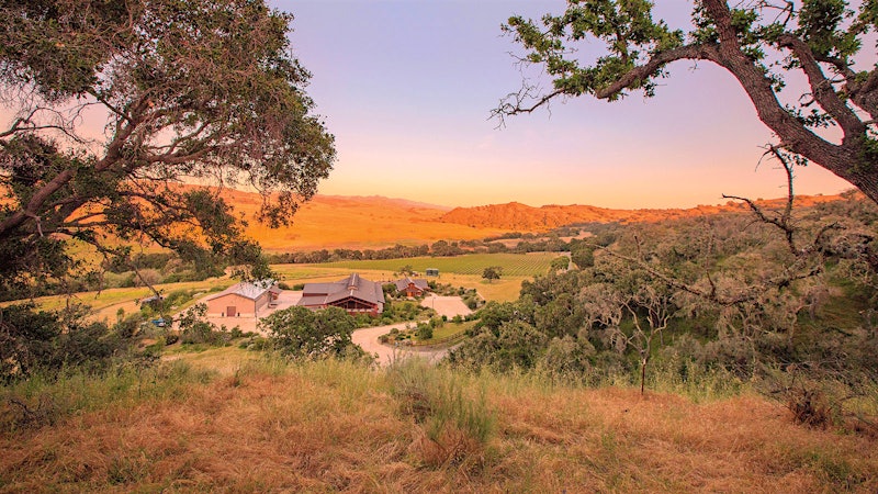 California Pinot Noirs With Distinction