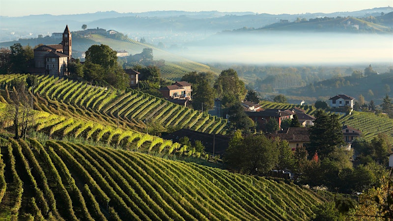 Go Beyond Barolo and Barbaresco with These 8 Standout Piedmont Reds