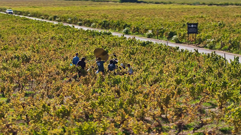 New Documentary Highlights the People and Land Behind Chile’s Wine Culture