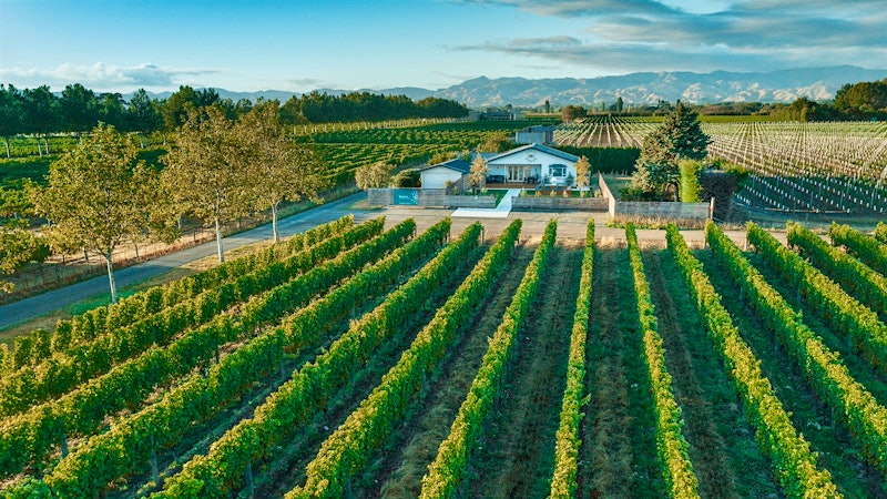 Trading Up on New Zealand