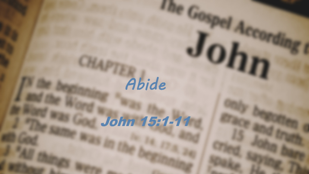 Abide (John 15:1-11)