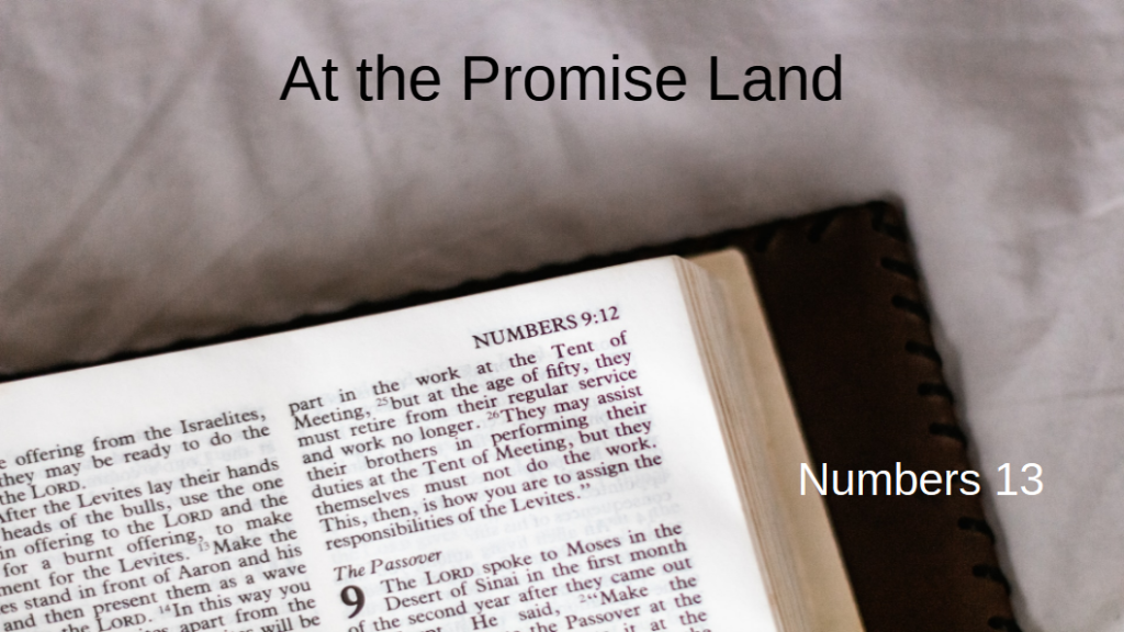 At the Promise Land (Numbers 13)
